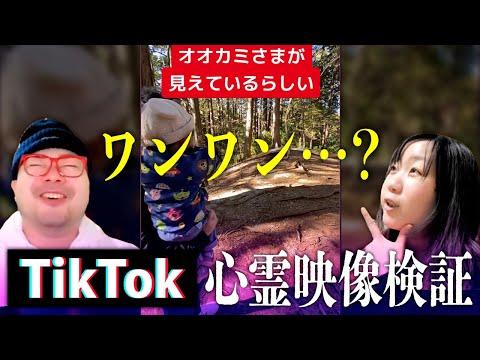 三峯神社での不思議な体験！子供が虚空を指さす動画に隠された真実とは？