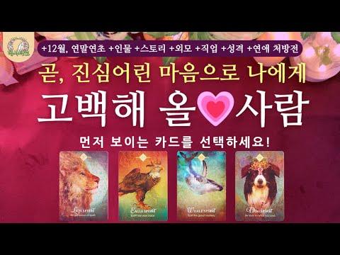 [타로/연애운]🌹2024년, 타로 전문가 클래스 개설! 연애운, 직업, 외모, 성격, 스토리, 연애처방전