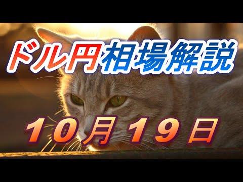 ドル円為替相場の前日の動きを解説！10月19日の注目ポイント