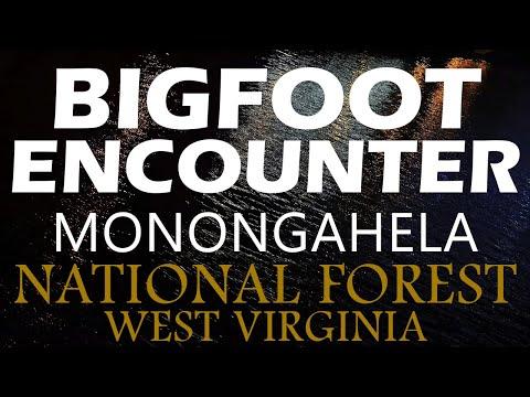 Unveiling the Mysteries of Bigfoot Encounters in Monongahela National Forest