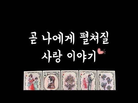 [타로] 솔로 연애운❤️