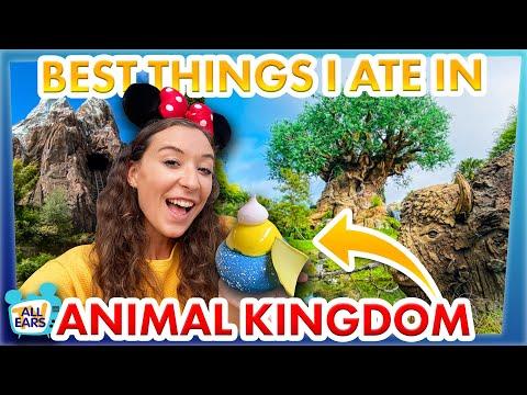 Discover the Best Food in Disney's Animal Kingdom: A Foodie's Guide