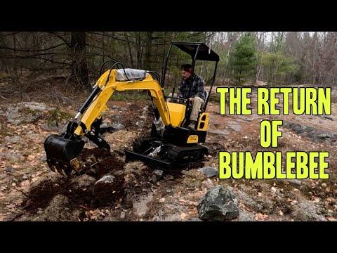 Exploring the Challenges of Bumblebee's Return: A Water Adventure