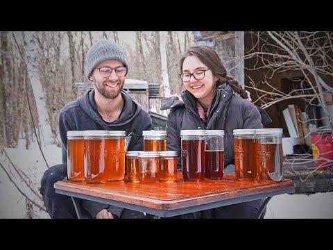 Mastering the Art of Maple Syrup Production: A Canadian Couple's Journey