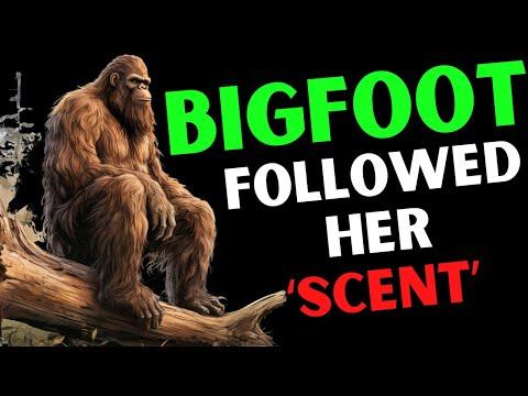 Unveiling The Mysterious Encounter With The Sasquatch