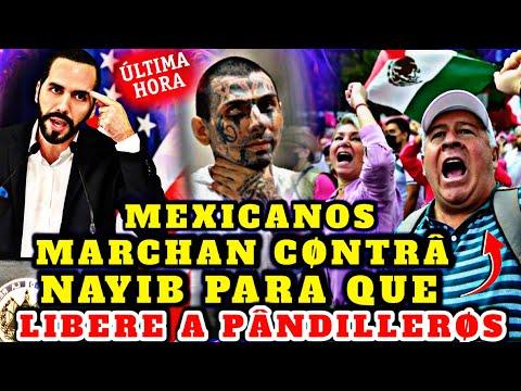 !Mensaje impactante de mexicanos a Nayib Bukele: ¡Liberen a los pandilleros!