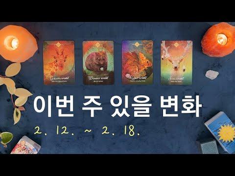 [타로/주간운세] 2월 셋째 주 종합운(2. 12. ~ 2. 18.)