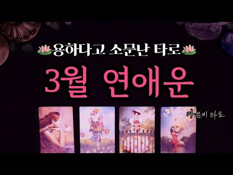 3월 연애운을 놓치지 마세요! 타로로 알아보는 연애 전망🔮