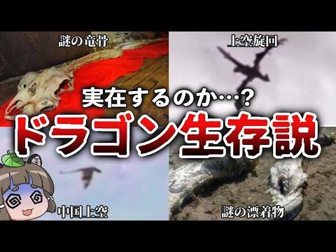 【驚き】ドラゴンの実在を示す世界中の証拠とは？