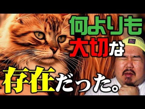 感動的な猫の物語：生霊と思われた猫が家族として迎えられるまで