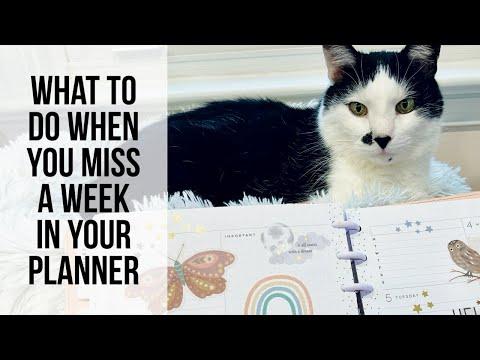 Creative Ways to Fill Skipped Weeks in Your Planner