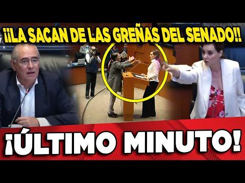 Escándalo en el Senado: Lilly Téllez protagoniza votación controvertida