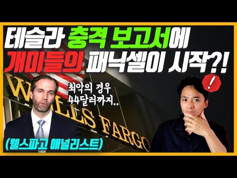 테슬라 주가 하락! 적정 주가와 투자 전략을 알아보자