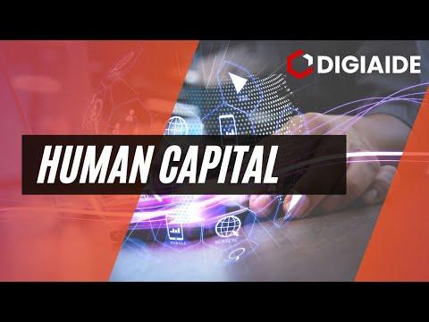 The Importance of Human Capital in Business: Key Insights and Strategies