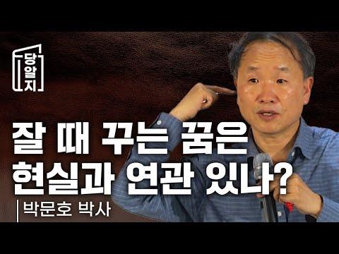 꿈에 대한 이해: 뇌의 비밀과 감각의 연합