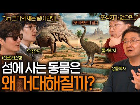 300년 전 존재했던 3m 거대 코끼리새의 멸종 이유와 대형 동물의 사라진 이유