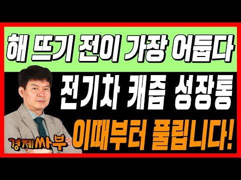 전기차 시장의 불안정으로 인한 주식 시장의 요동과 정치적 리스크 증가