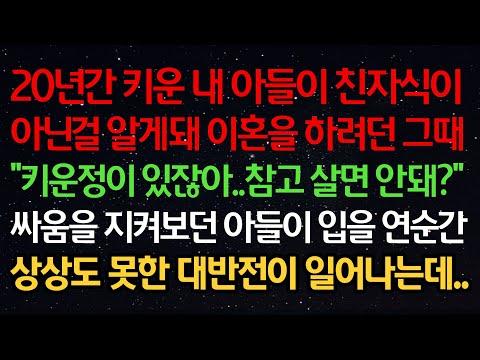 20년 간 키운 아들이 친자식이 아닌 것을 알게 된 이혼 사건 - 감동적인 이야기