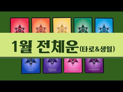 [타로/1월] 2024년 1월 전체운/생일/수비학/직장/금전/시험/관계/건강