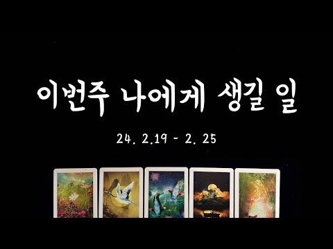 주간 타로 운세: 노력의 보상과 새로운 인연