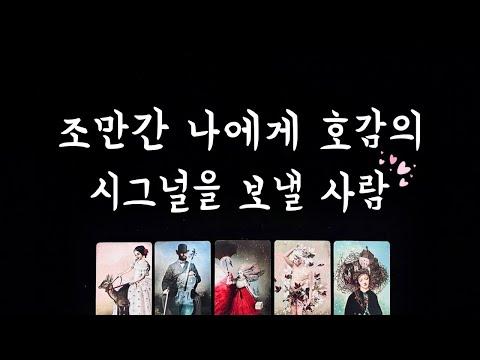 타로를 통해 알아보는 호감의 시그널 및 연애 가능성