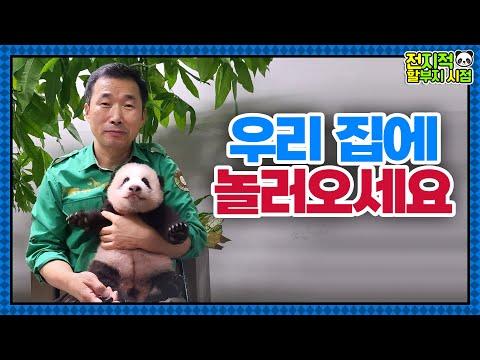 (한글) 감동의 바오하우스! 강바오와 그의 가족들의 특별한 집들이