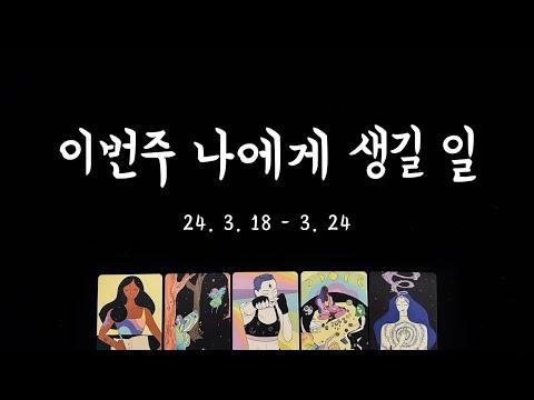 주간 타로운세: 이번 주의 운세와 사랑💕