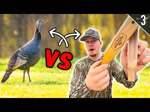 Mastering Turkey Calling Techniques: A Comprehensive Guide for Hunters