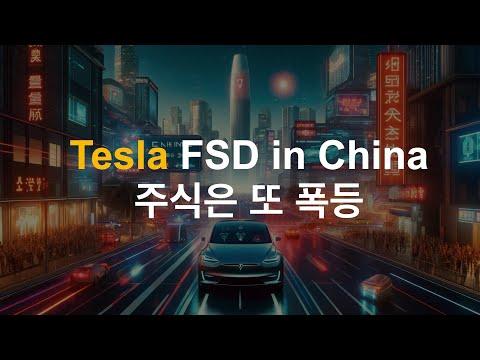 테슬라 FSD 기술 유출 우려? 중국 시장 동향과 전망