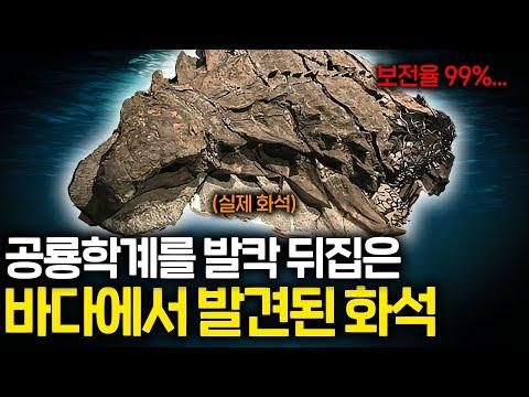 가장 완벽하게 보존된 공룡의 비밀