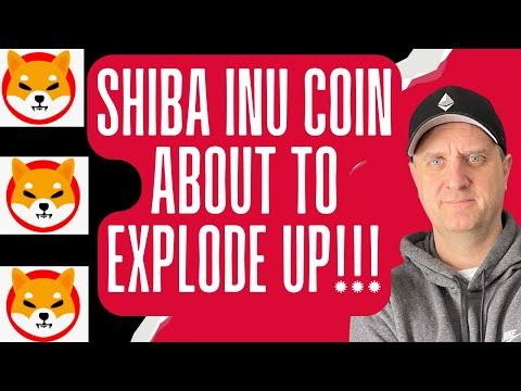 Shiba Inu Coin Price Prediction: Exploring Opportunities in Cryptocurrency Market