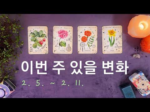 주간운세: 2월 둘째 주 (2. 5. ~ 2. 11.)