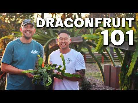 Ultimate Guide to Growing Dragon Fruit: Tips and Tricks for Success