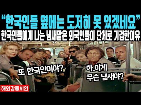 외국인이 본 한국의 놀라운 경험과 이야기