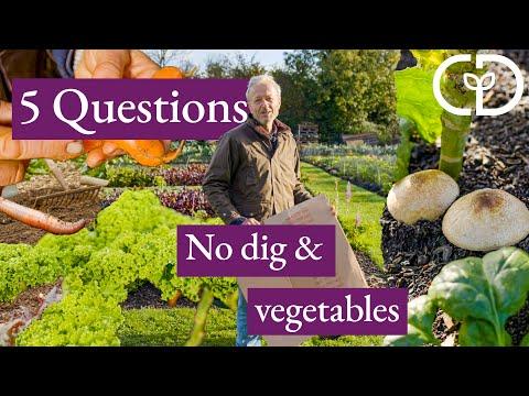 Revolutionize Your Garden with No Dig Gardening: A Sustainable Approach