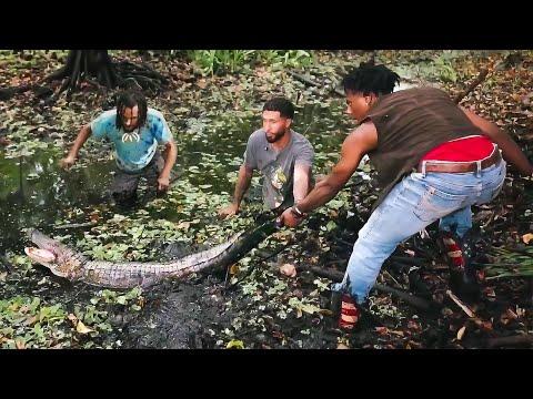 Alligator Catching Adventure: A Risky Encounter with iShowSpeed