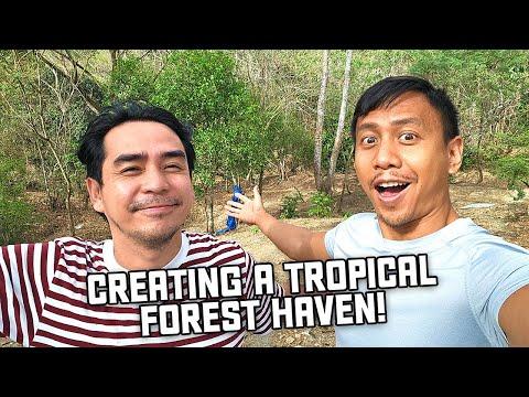 Transforming Our Tropical Forest: A Journey of Growth and Discovery