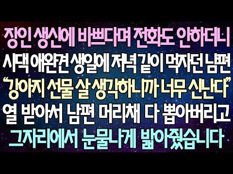 남편과의 갈등, 장인 생신에 바쁘다며 전화도 안하더니 시댁 애완견 생일에 저녁 같이 먹자던 남편 머리채 다 뽑아버리고 그자리에서 눈물나게 밟아줬습니다