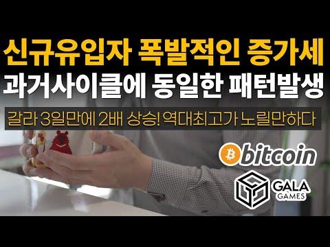 비트코인과 알트코인 시장 분석 및 갈라(GALA) 코인의 상승세에 대한 전망