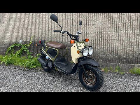 Unveiling the 2024 Honda Ruckus: A Practical and Iconic Ride