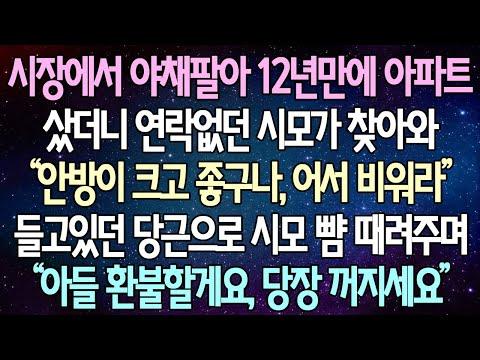 야채장사에서 아파트 산 여성, 시어머니와의 갈등으로 인한 이혼사건