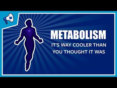 Unraveling the Mysteries of Metabolism: From Cells to Cosmos