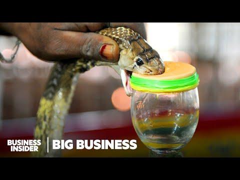 The Hidden Health Crisis of Snakebites: The Costly Production of Antivenom and Innovative Solutions