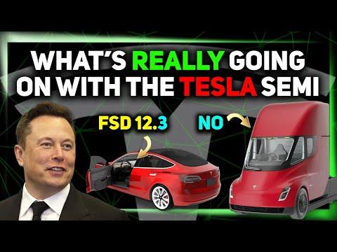 Unveiling the Latest Tesla FSD v12.3: What You Need to Know