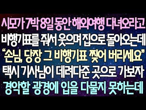 여행 비행기표를 받고 경악하는 이혼 사연