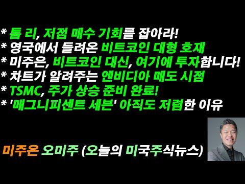 미국 주식뉴스: 비트코인 대신 투자할 만한 대안은?