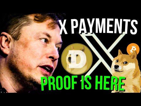 Exciting Updates on Dogecoin and Bitcoin Integration