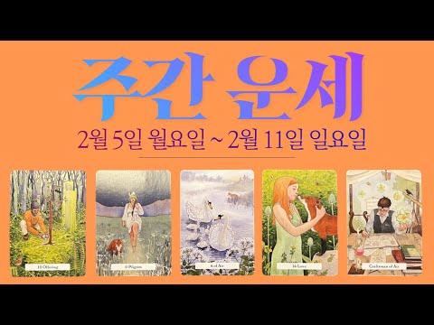 [타로/주간운세]2월 둘째 주/직장/금전/시험/애정/관계/컨디션