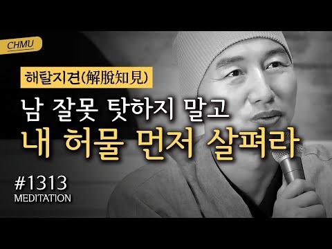 귓전명상대학 1313일차: 명상을 통한 환경 보호와 자기성찰