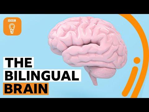 The Cognitive Benefits of Learning a New Language